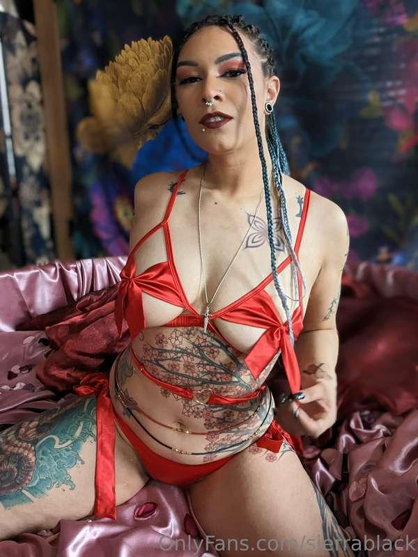sierrablack image #16