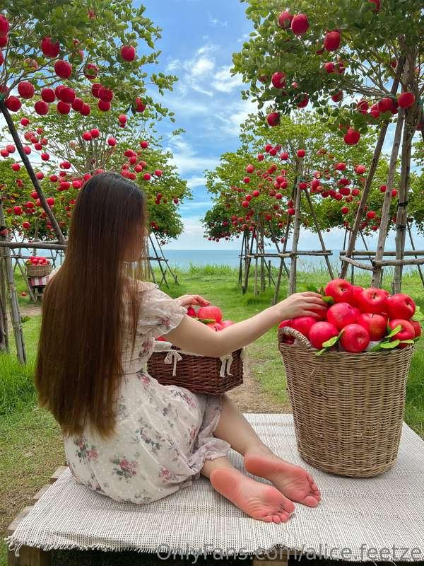 alice.feetze image #0