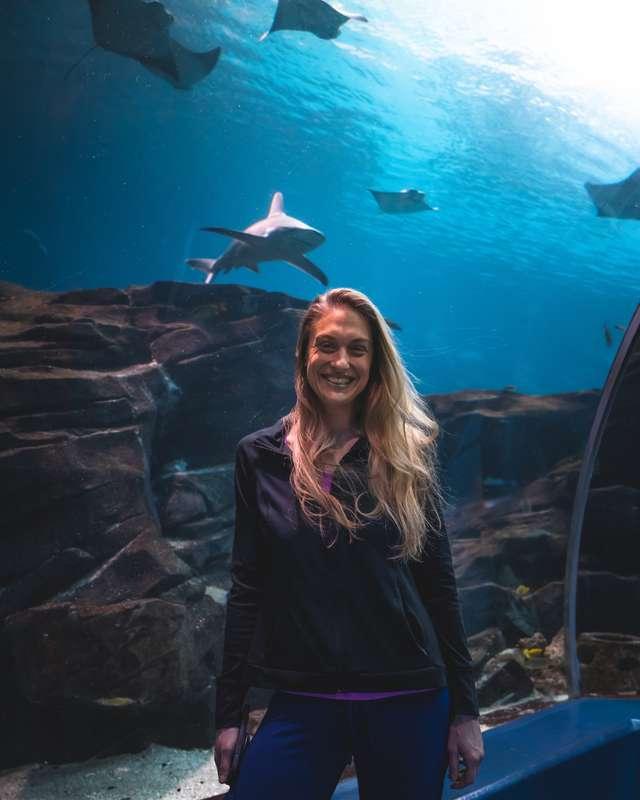 Cheers from the Georgia Aquarium! A video is being sent to a..