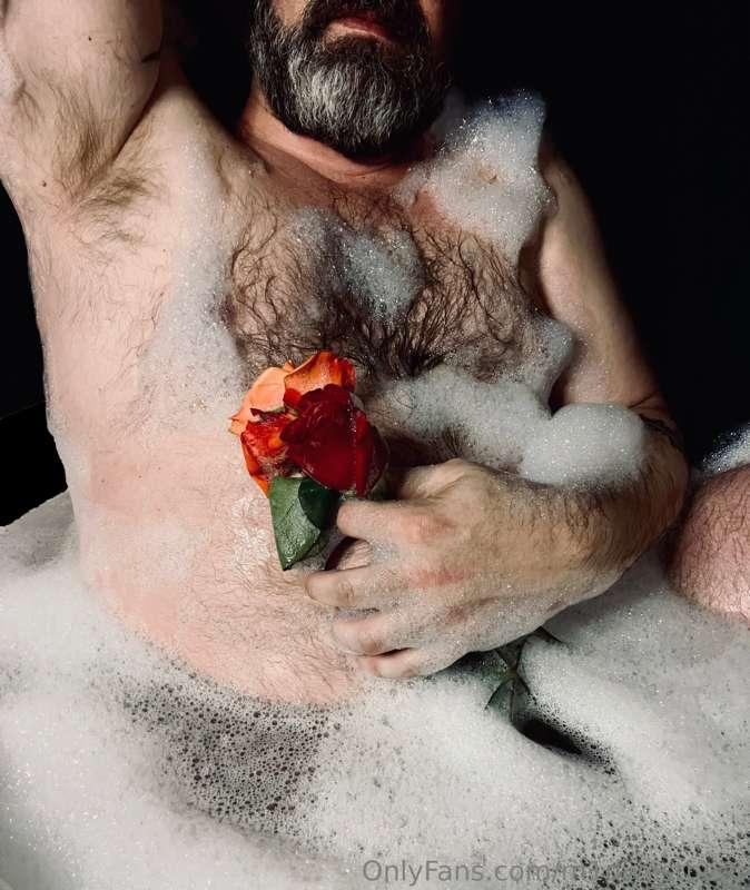 m1dwestbear image #2