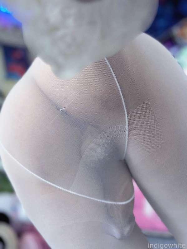indigowhite image #448