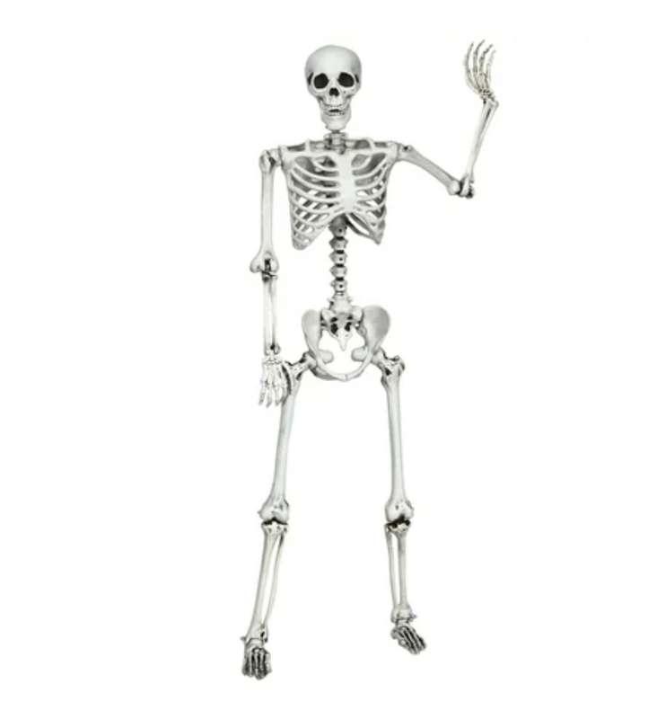 who wants to see my squash a skeleton this halloween?💀
