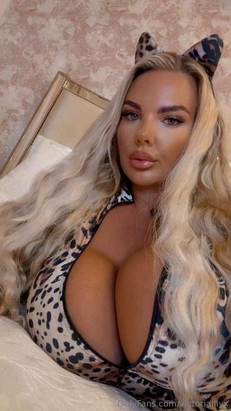 Wanna see this kitty get fucked ? 🐱