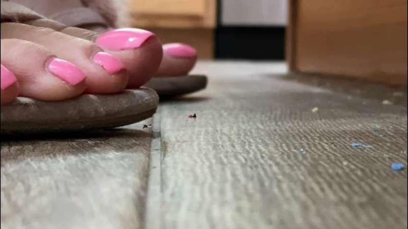 Micro Problems Zoom