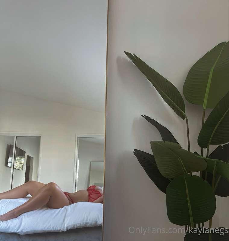 kaylanegs image #0