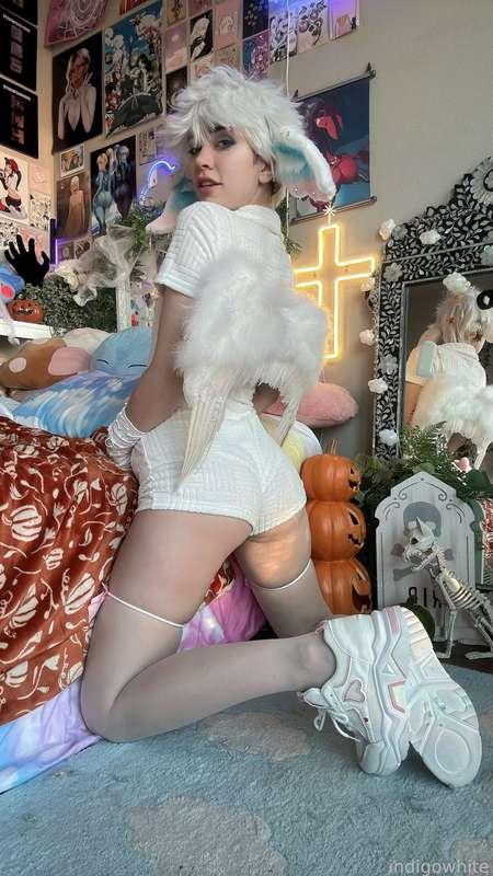 indigowhite image #50
