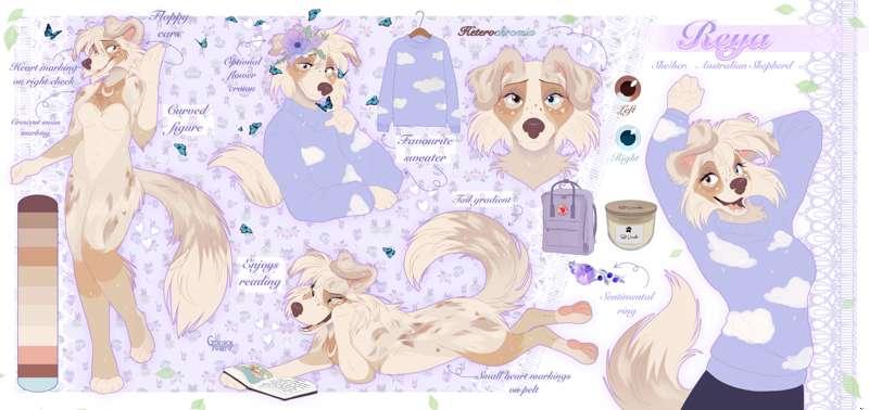💜custom Reference sheet commisison💜 