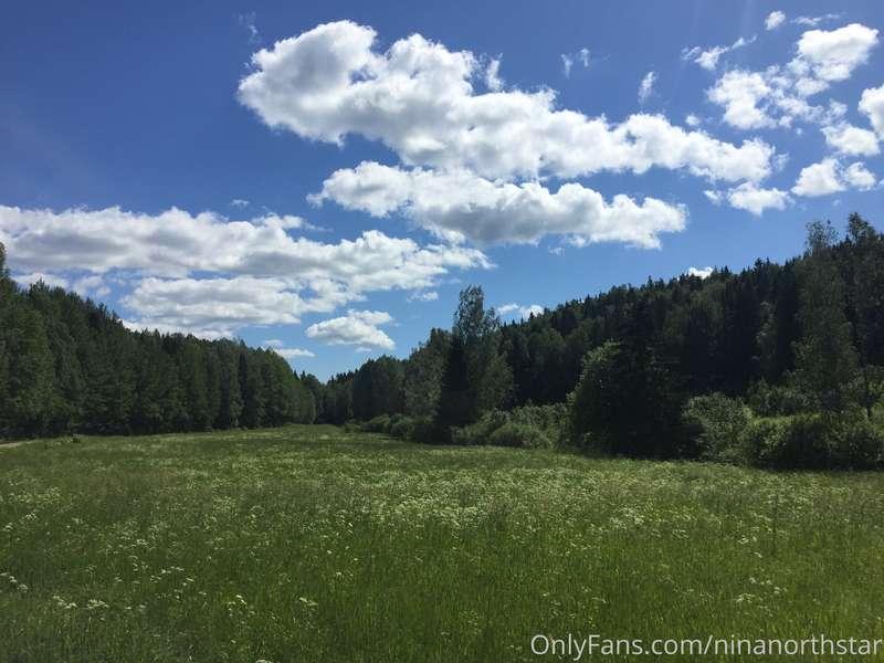 ninanorthstar image #1