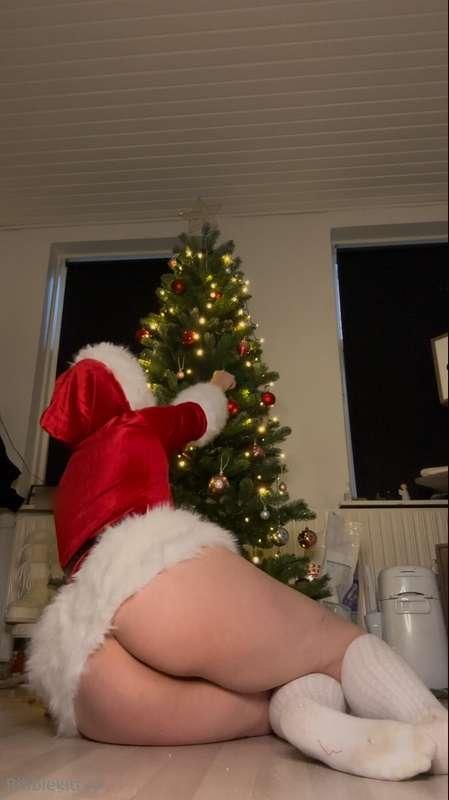 bibblekittyy image #1