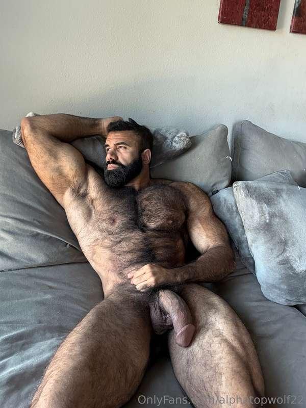 alphatopwolf22 image #3