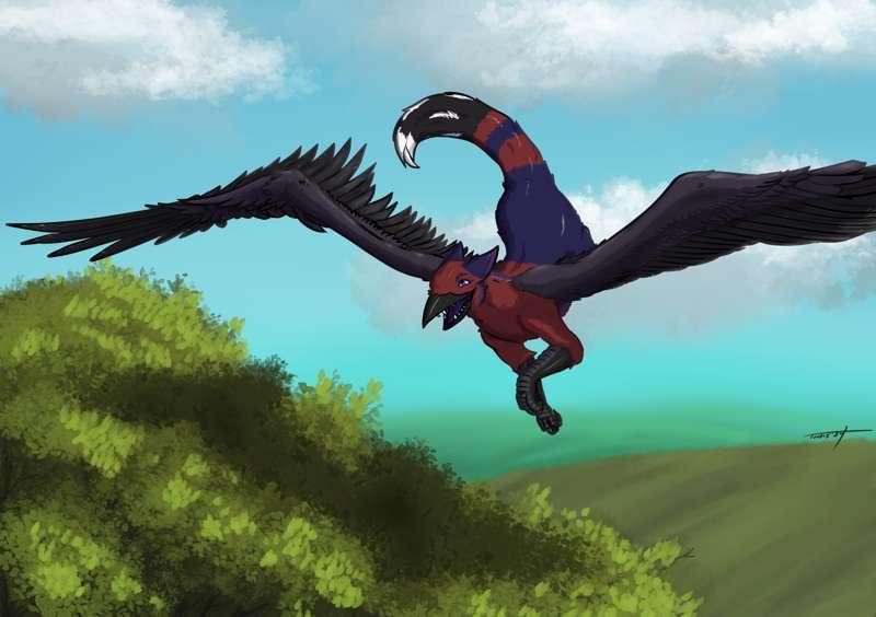 Finished comm for Obsidian