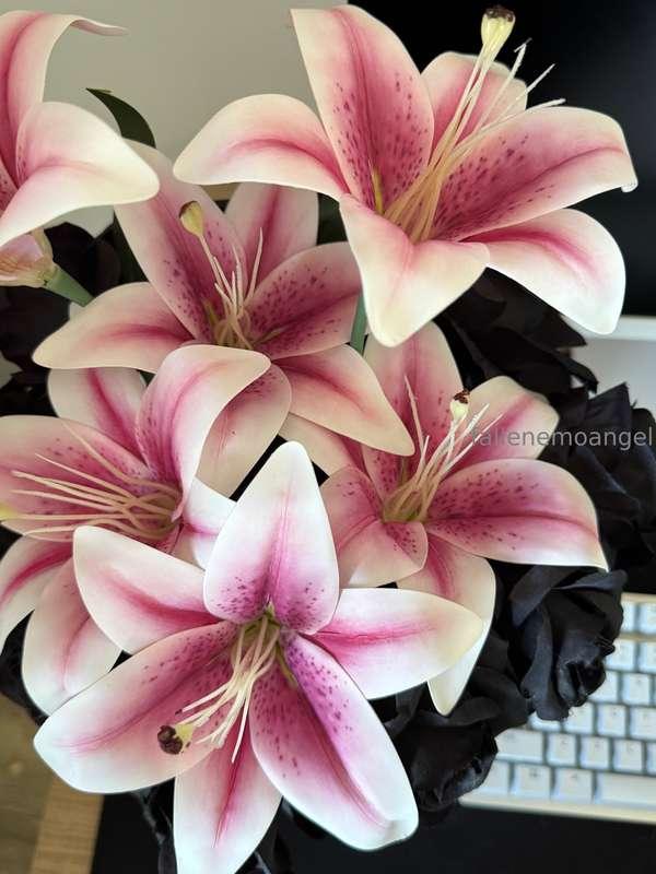 lilies are one of my favorite flowers, but they are poisonou..