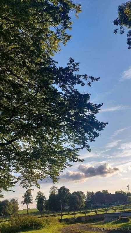 doktorstoned image #5