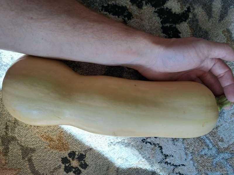 Butter me up before I nut...that's not right... haha.