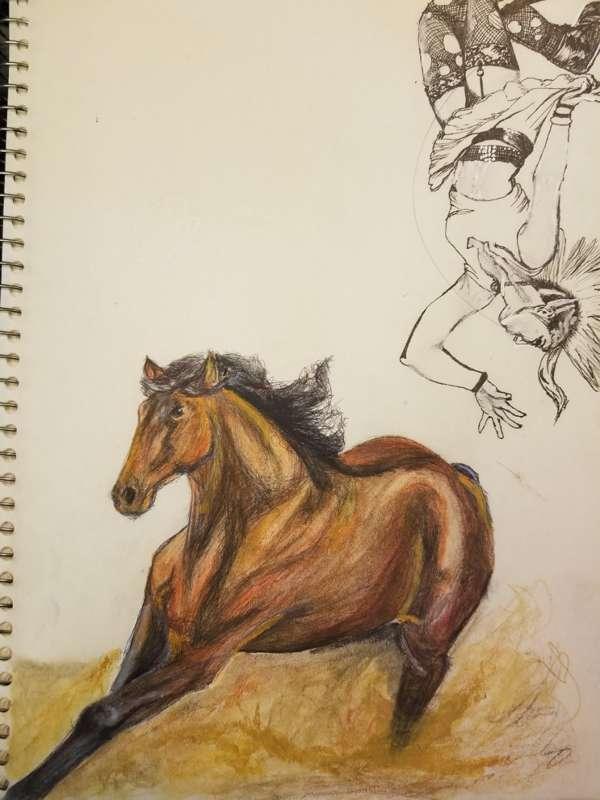 Horse drawing