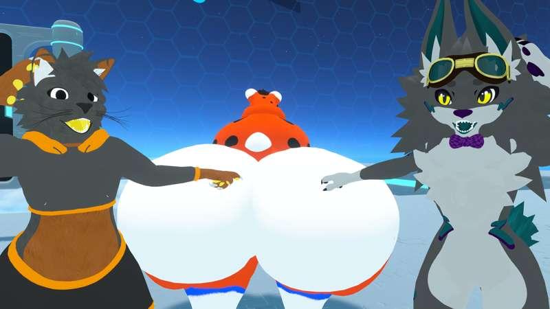 Giant raccoon sits on me!