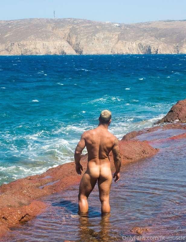 fit_muscle image #4