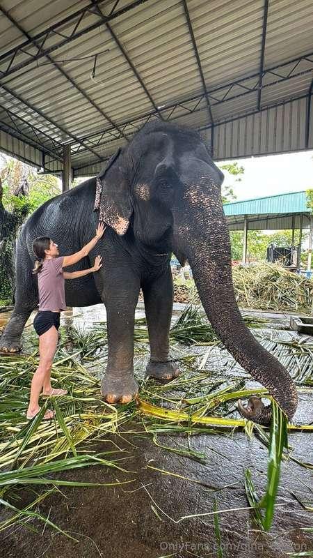 Gina and the elephant😁