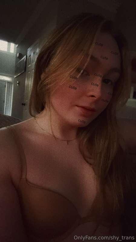 shy_trans image #4