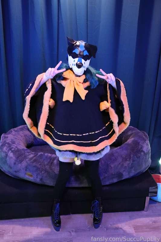 succupuplily image #14