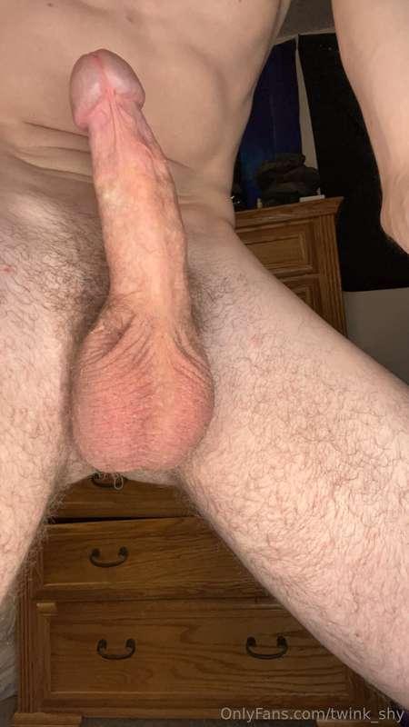 twink_shy image #0