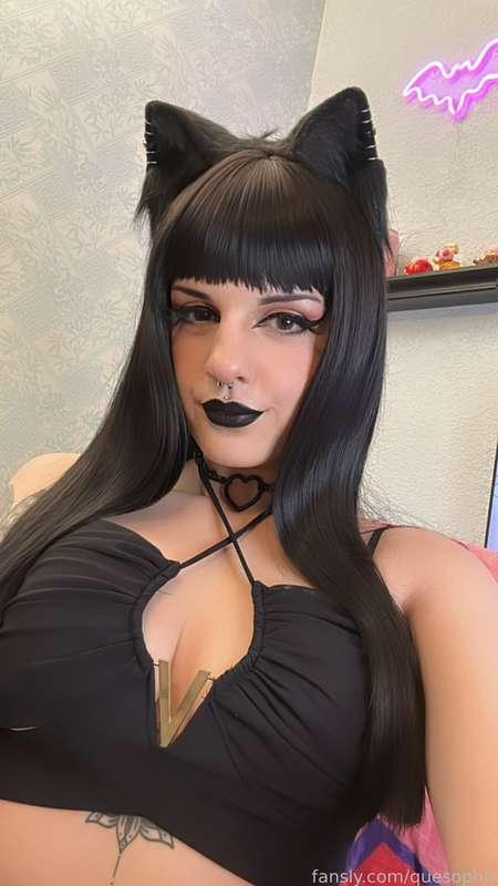 quesophh image #1