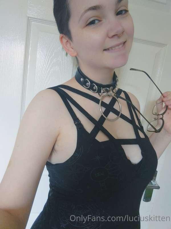 luciuskitten image #1