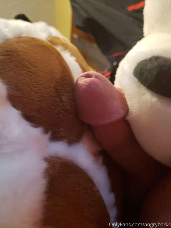 Do my paws really feel that good? 😳