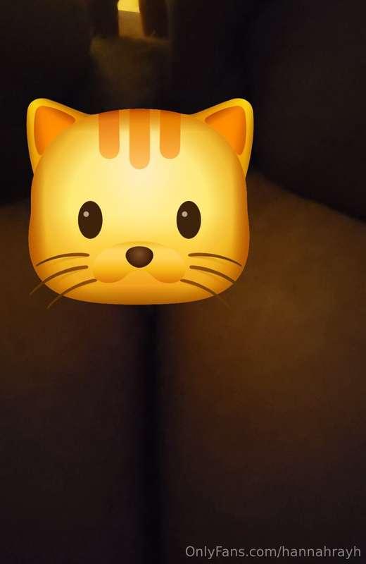 Pussy play 😻