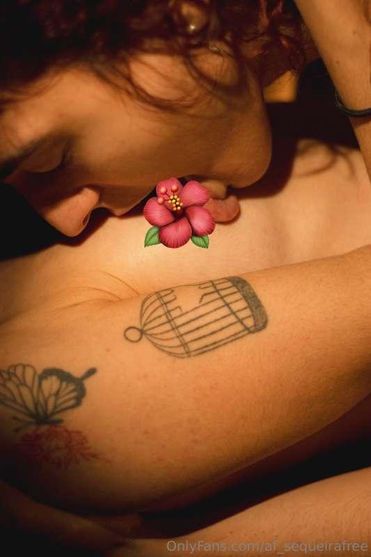 af_sequeirafree image #3