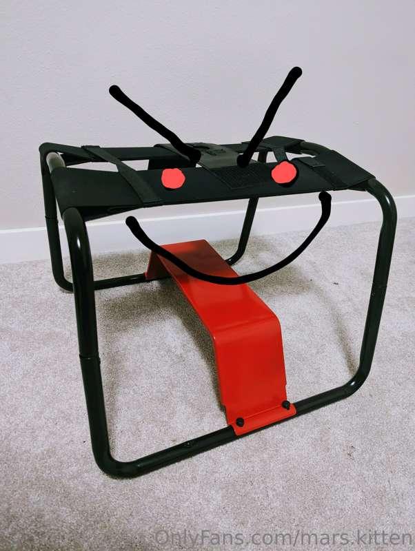 mars.kitten image #0