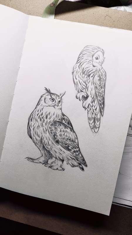 Птицы Леса ARTBOOK sticker WIP 