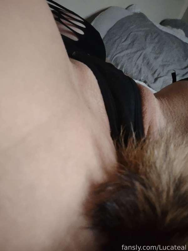 lucateal image #3