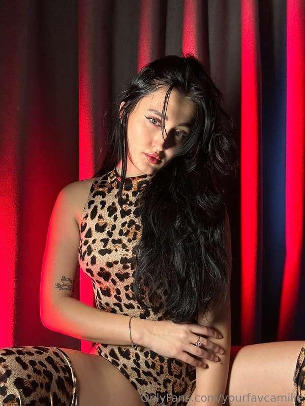 Do you think I'm as fast and agile as a leopard!? 😏🐯🐯🐯🐯 Urrr..