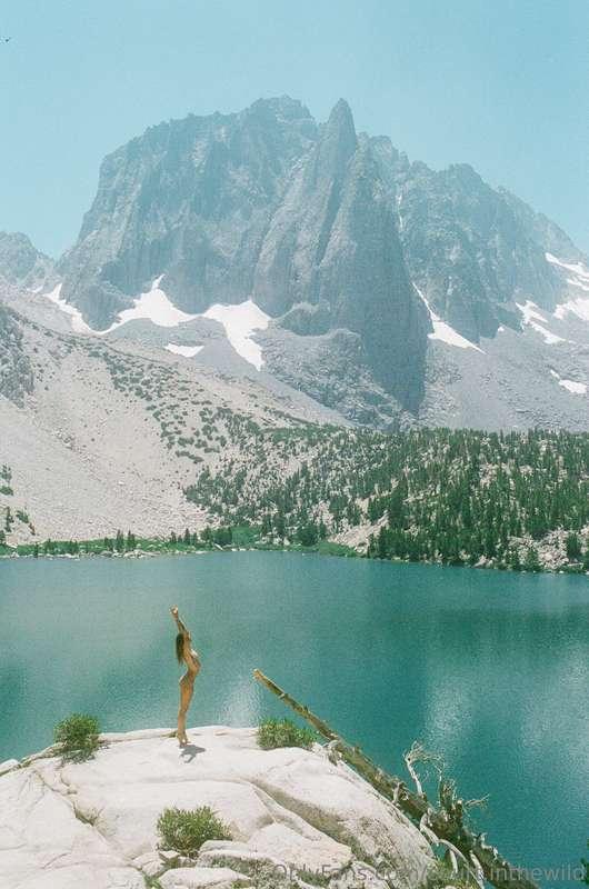 court.inthewild image #13