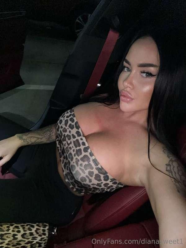 Do u know what a stylish leopard print and a fast car have i..