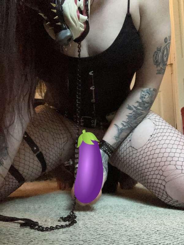 Sooooooooooooooooo, apparently Lisdexamfetamine (Adderall) makes me extremely horny... I have taken a ton of pics I'll be posting every few days. I also have a few videos, stand by for those~
#FYP #Furry #futa #cock #horsecock #tattoos #goth #leash #mask #fishnets