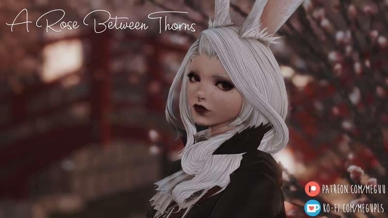 Febuary Makeup-vault additions