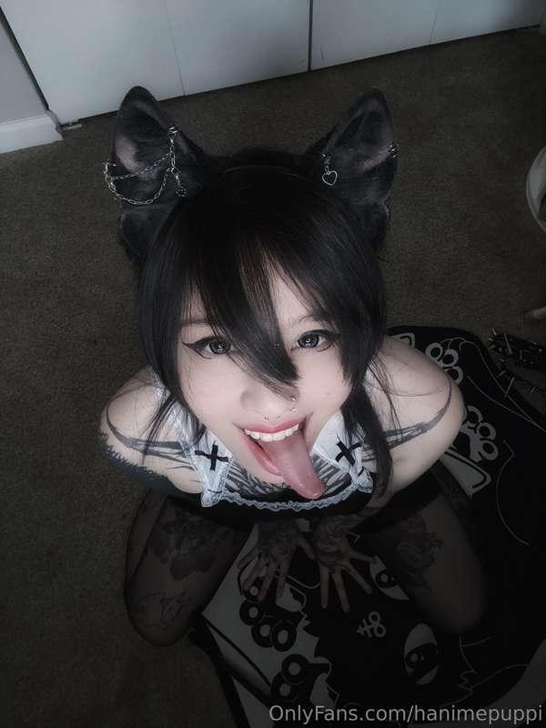 hanimepuppi image #0