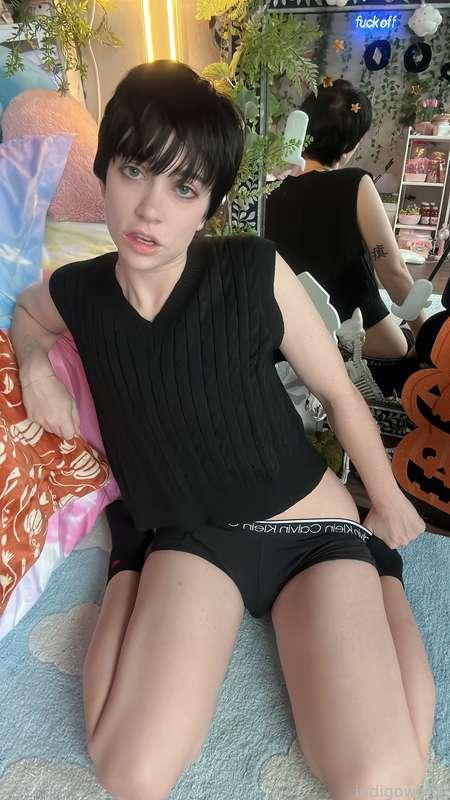 indigowhite image #125