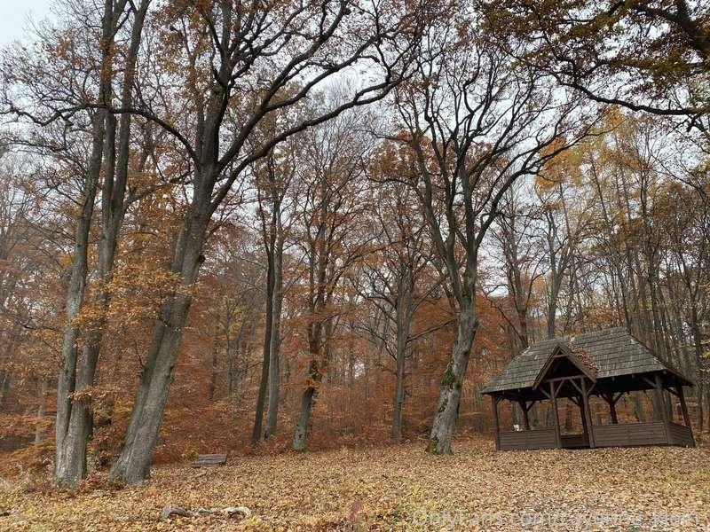 cayenne_klein_ image #7