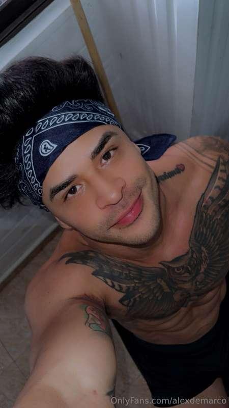alexdemarco image #3