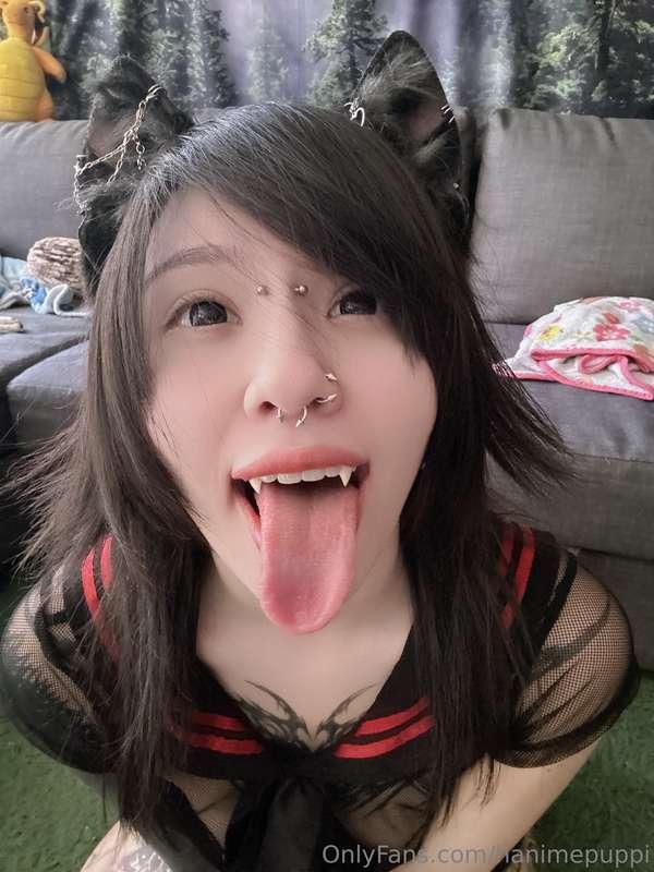 hanimepuppi image #1
