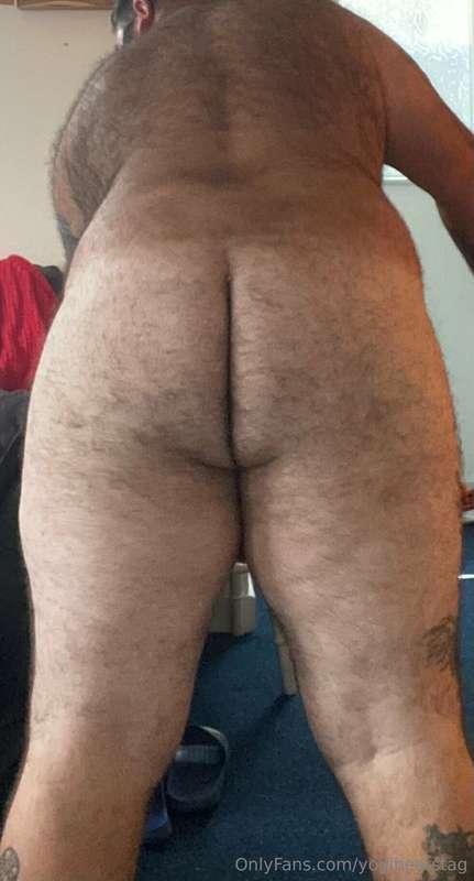 yogibearstag image #0