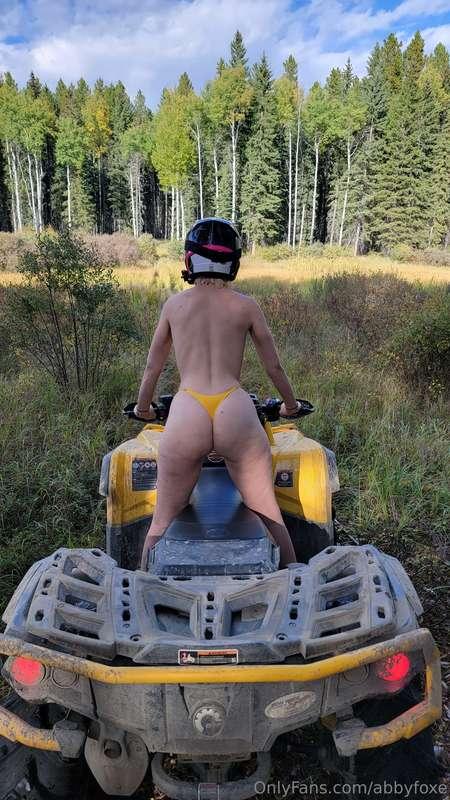 Took my bush out to the bush today!