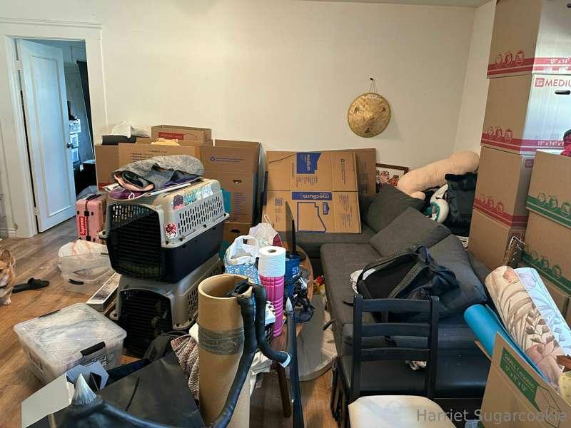My house is just boxes 😞
