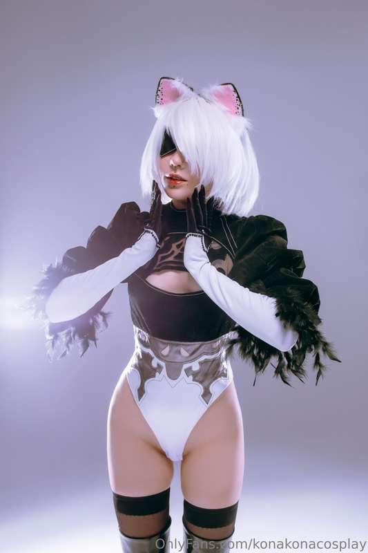 Meow? 🐱