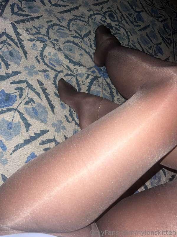 nylonskitten image #4