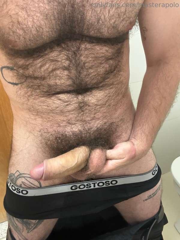 masterapolo image #3