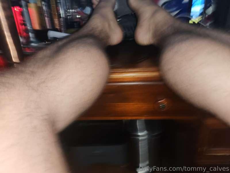 tommy_calves image #1